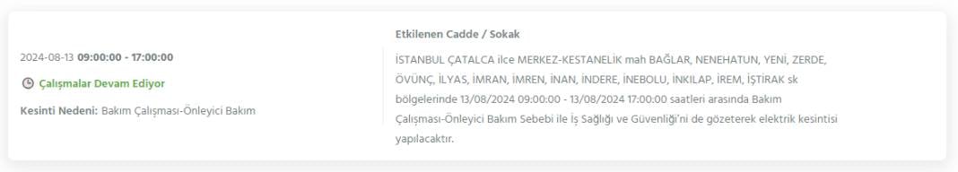 Bugün İstanbul'un bu ilçeleri karanlığa gömülecek! 8 saat sürecek elektrik kesintileri ilçe ilçe açıklandı 19